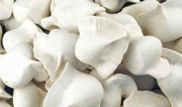 速冻水饺爆料配方视频讲解,独家爆料视频深度解析